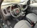 Fiat Panda Cross 1.0 firefly hybrid City Cross NO VINCOLI !! Verde - thumbnail 2
