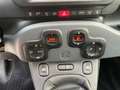 Fiat Panda Cross 1.0 firefly hybrid City Cross NO VINCOLI !! Verde - thumbnail 11