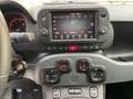 Fiat Panda Cross 1.0 firefly hybrid City Cross NO VINCOLI !! Verde - thumbnail 12