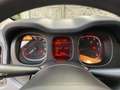Fiat Panda Cross 1.0 firefly hybrid City Cross NO VINCOLI !! Verde - thumbnail 17