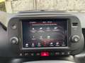 Fiat Panda Cross 1.0 firefly hybrid City Cross NO VINCOLI !! Verde - thumbnail 14