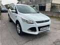 Ford Kuga 2.0 TDCI 150 CV S&S 4WD Powershift Titanium Weiß - thumbnail 1