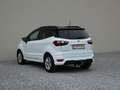 Ford EcoSport ST-Line +AHK+RFK+Winter+ALU+GRA+ Weiß - thumbnail 8