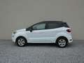 Ford EcoSport ST-Line +AHK+RFK+Winter+ALU+GRA+ Weiß - thumbnail 9