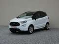 Ford EcoSport ST-Line +AHK+RFK+Winter+ALU+GRA+ Weiß - thumbnail 3