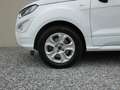 Ford EcoSport ST-Line +AHK+RFK+Winter+ALU+GRA+ Weiß - thumbnail 25