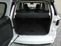 Ford EcoSport ST-Line +AHK+RFK+Winter+ALU+GRA+ Weiß - thumbnail 11