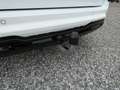 Ford EcoSport ST-Line +AHK+RFK+Winter+ALU+GRA+ Weiß - thumbnail 23
