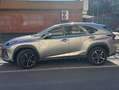 Lexus NX 300h NX I 2018 300h 2.5 Business 2wd cvt Grigio - thumbnail 1