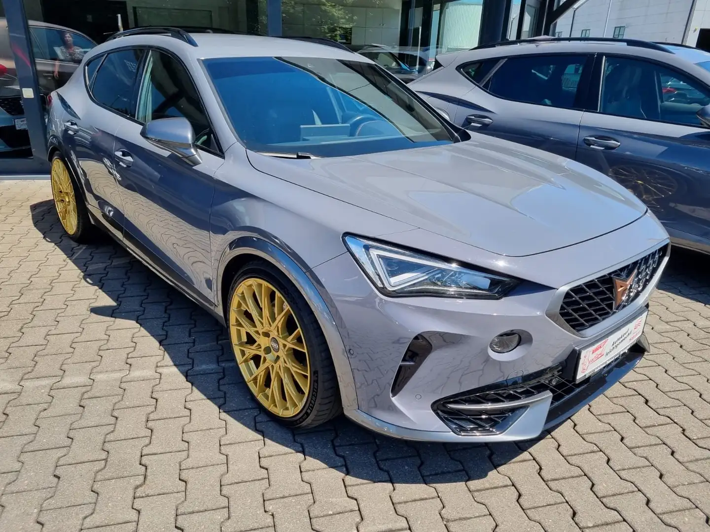 CUPRA Formentor Basis a 4Drive Gris - 2