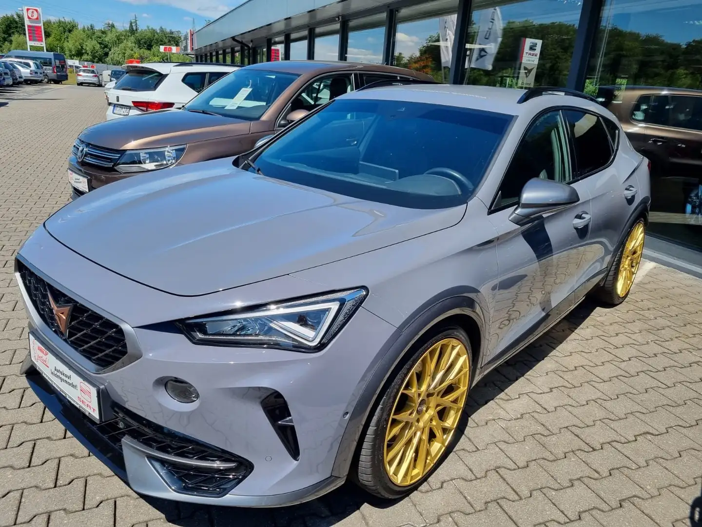 CUPRA Formentor Basis a 4Drive Gris - 1