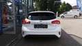 Ford Focus 1,5 EcoBlue ST-Line Weiß - thumbnail 5