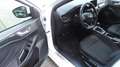 Ford Focus 1,5 EcoBlue ST-Line Weiß - thumbnail 12