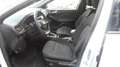 Ford Focus 1,5 EcoBlue ST-Line Weiß - thumbnail 13