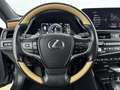 Lexus ES 300 300h President Line | BTW- Auto | Mark Levinson | Gris - thumbnail 18