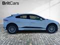 Jaguar I-Pace S EV400 22MY DynLicht STH SpurH LED KeyLess Weiß - thumbnail 5