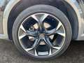 CUPRA Formentor 4Drive 2.0 TDI Leder Standhzg. Panorama 360°Kamera Schwarz - thumbnail 21