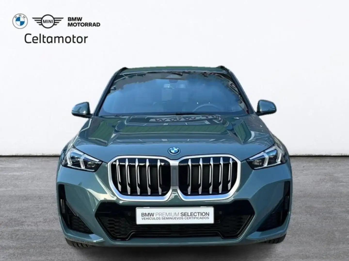 BMW X1 xDrive25e 180 kW (245 CV) Grün - 2