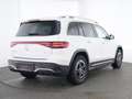 Mercedes-Benz EQB 350 4M AMG/LED/360°Kamera/Distronic/Memory-P Weiß - thumbnail 2
