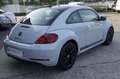 Volkswagen Maggiolino 2.0 TDI Design BlueMotion Technology 110CV Blanc - thumbnail 2
