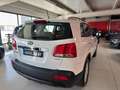 Kia Sorento 2.2 CRDi Emotion Aut. Blanco - thumbnail 12