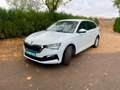 Skoda Scala 1.0 TSI Ambition DSG 85kW Blanco - thumbnail 2