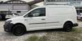 Volkswagen Caddy caddy maxi 2.0 tdi 102cv van Business Advanced dsg6 E6 Blanc - thumbnail 3
