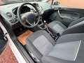 Ford Fiesta 1.25 60 cv "Ambiente" Blanc - thumbnail 11