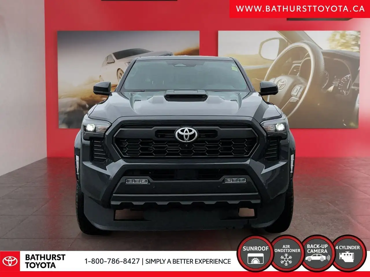 Toyota Tacoma fotografie Toyota Tacoma