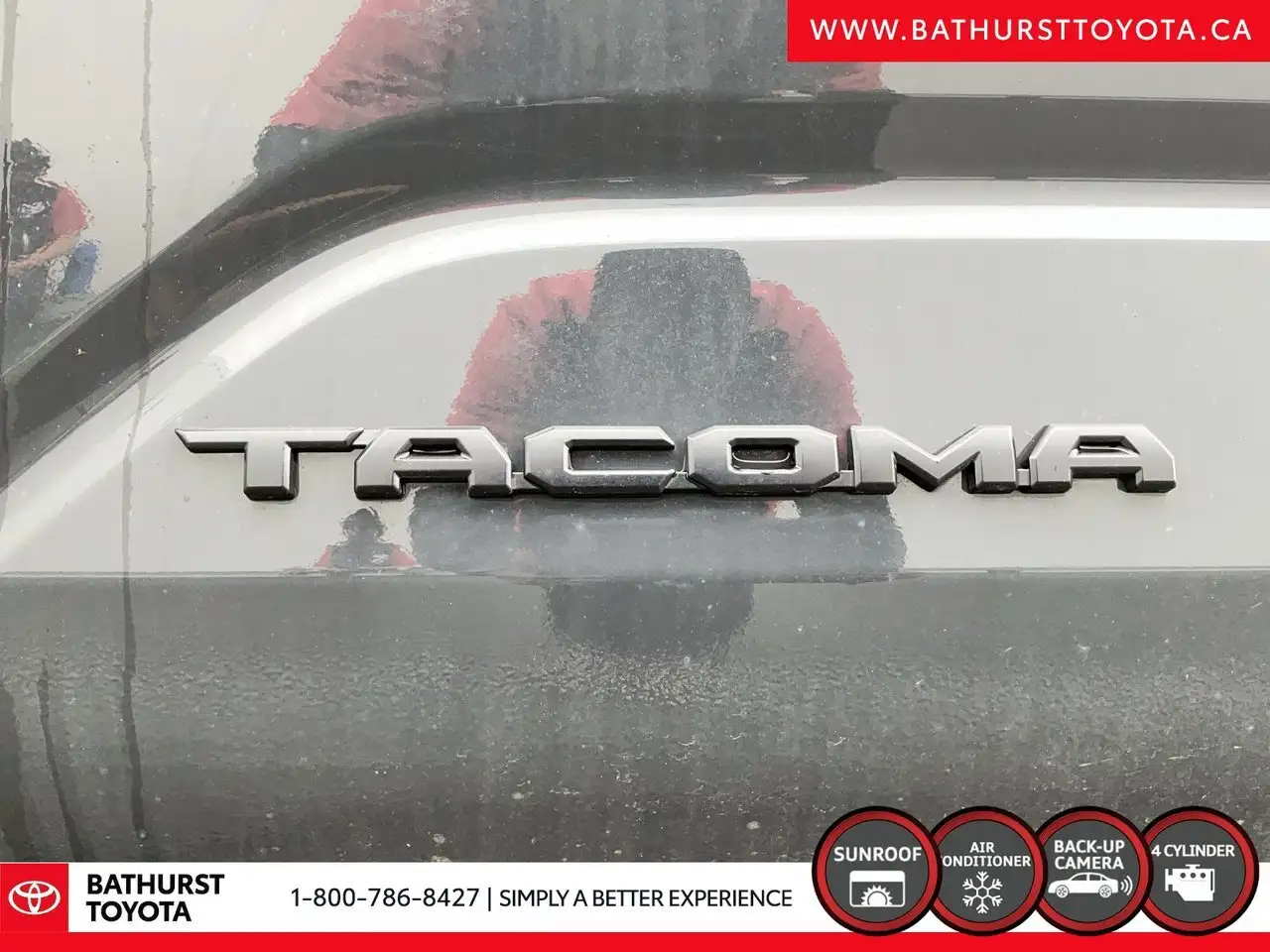 Toyota Tacoma fotografie Toyota Tacoma
