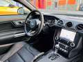 Ford Mustang 5.0 / V8 / Mach 1 / Performance Pack / Recaro Seat Zwart - thumbnail 22