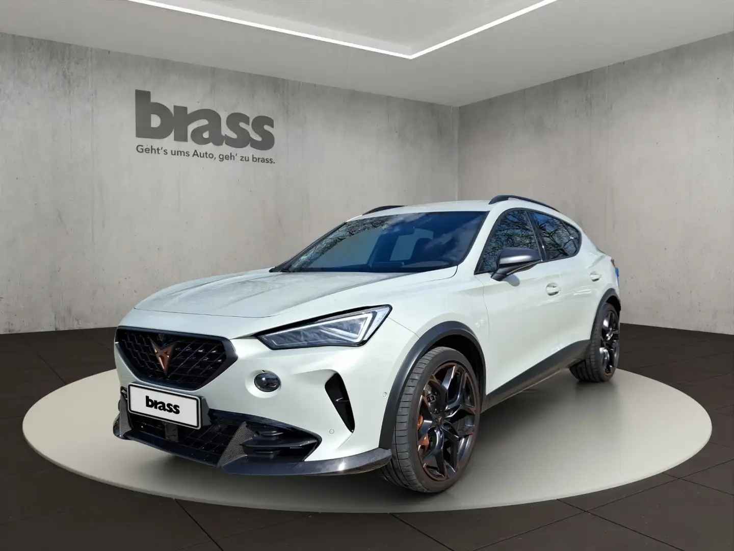 CUPRA Formentor 2.5 TSI VZ5 4Drive EDITION TAIGA GREY Gris - 1