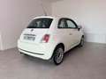 Fiat 500 1.2 Benzina Neopatentati Weiß - thumbnail 10
