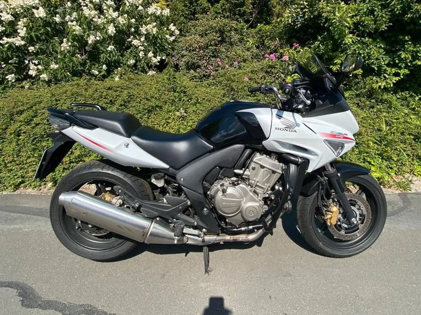 Honda CBF 600 SA Alb - 1