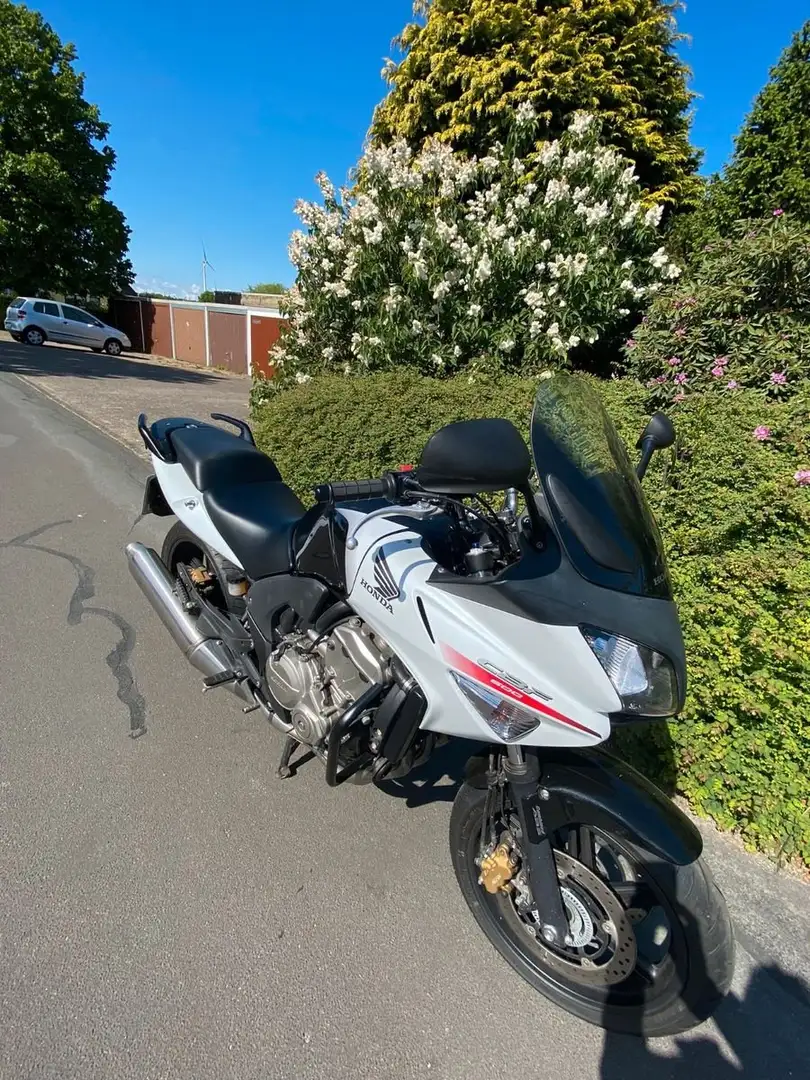 Honda CBF 600 SA Alb - 2