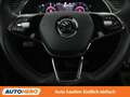Skoda Superb 1.4 Plug-in Hybrid Sportline iV Grau - thumbnail 20