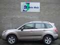 Subaru Forester 2.0 Luxury - Stoelverwarming - Trekhaak - Brun - thumbnail 16