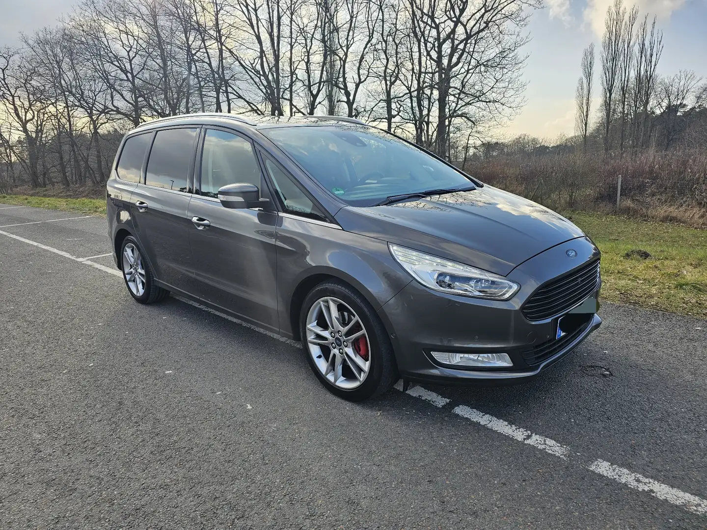 Ford Galaxy 2.0 EcoBlue Bi-Turbo Aut. Titanium Grau - 1