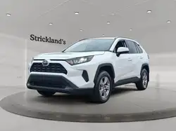 2025 Toyota RAV 4