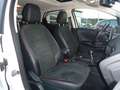 Ford EcoSport ST-Line AHK/Navi/Bi-XEN/SHD/SHZ/PDC Weiß - thumbnail 12
