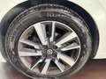 Nissan Micra 1.5 dCi 8V 5 porte N-Connecta Bianco - thumbnail 14