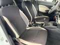 Nissan Micra 1.5 dCi 8V 5 porte N-Connecta Bianco - thumbnail 9