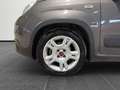 Fiat New Panda 1.0 FireFly Hybrid City Life Gris - thumbnail 19