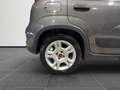 Fiat New Panda 1.0 FireFly Hybrid City Life Gris - thumbnail 21