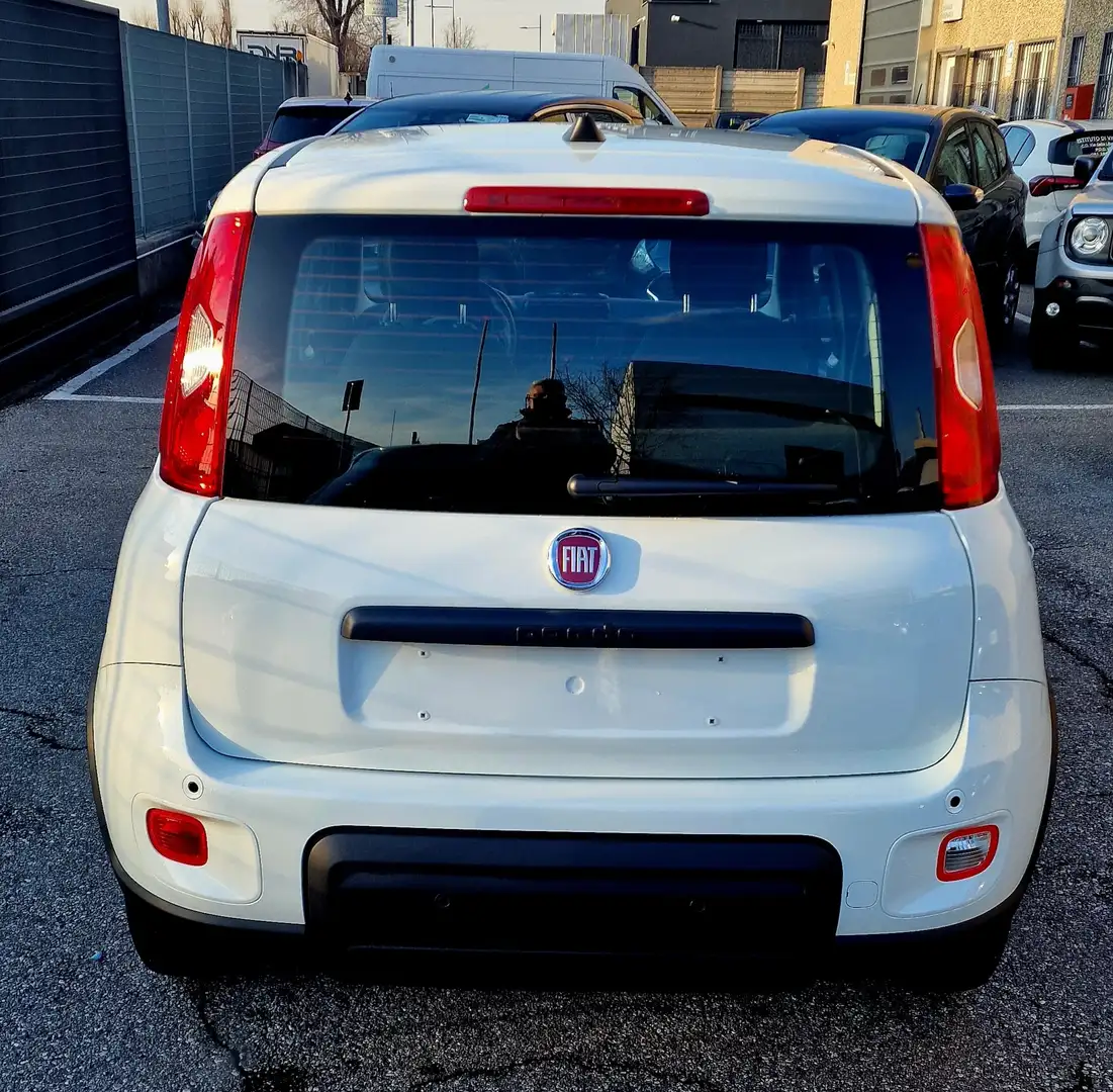 Fiat Panda Panda 1.0 Hybrid Panda E6.4 70cv MY25 Wit - 2