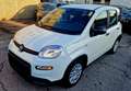 Fiat Panda Panda 1.0 Hybrid Panda E6.4 70cv MY25 Wit - thumbnail 3