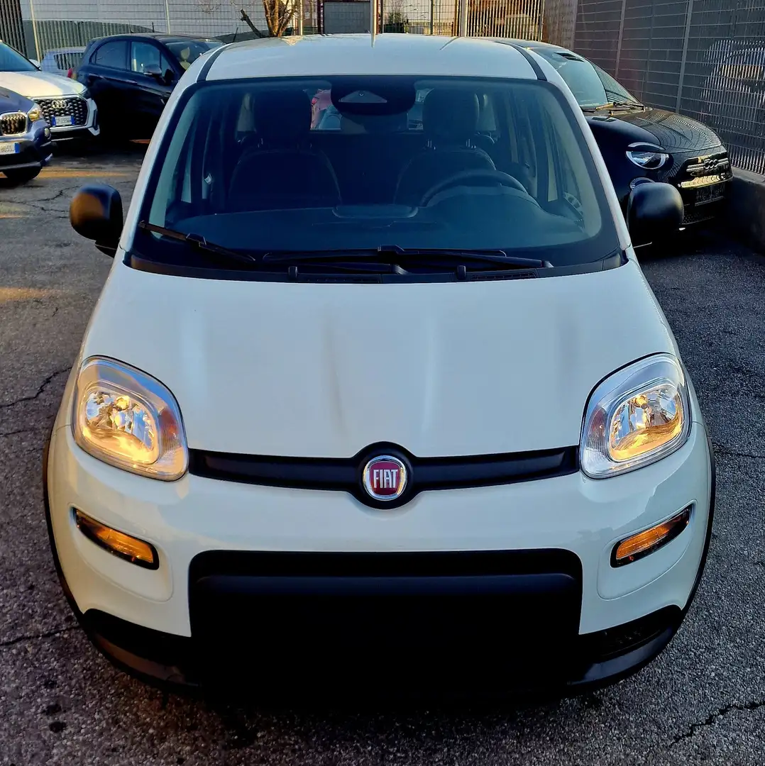Fiat Panda Panda 1.0 Hybrid Panda E6.4 70cv MY25 Wit - 1