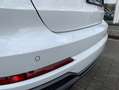 Audi Q3 40 TFSI / QUATTRO / 3x S-Line / Full Options / Biały - thumbnail 12