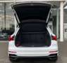 Audi Q3 40 TFSI / QUATTRO / 3x S-Line / Full Options / White - thumbnail 9