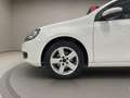 Volkswagen Golf Golf VI 2008 5p 1.6 tdi Comfortline Blanc - thumbnail 21